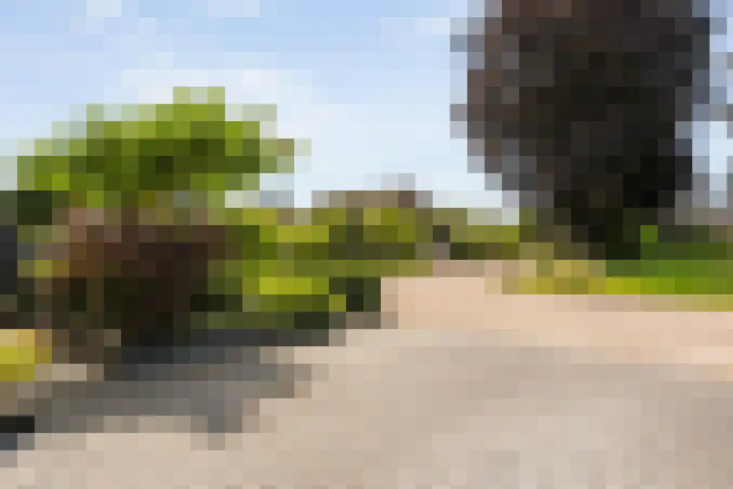Hoefblad 12 Nieuwleusen thumbnail 57