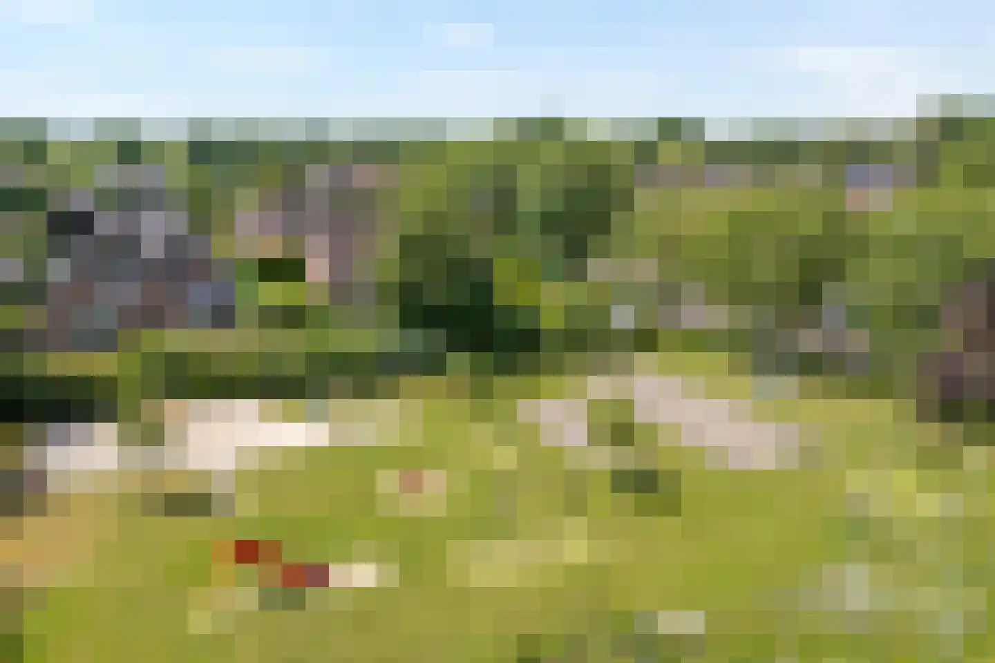 Hoefblad 12 Nieuwleusen thumbnail 60