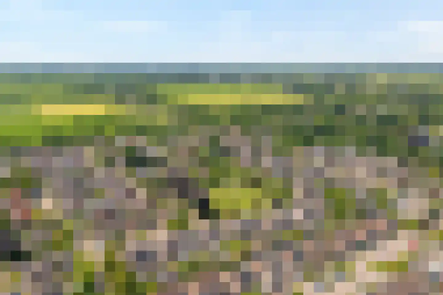 Hoefblad 12 Nieuwleusen thumbnail 61