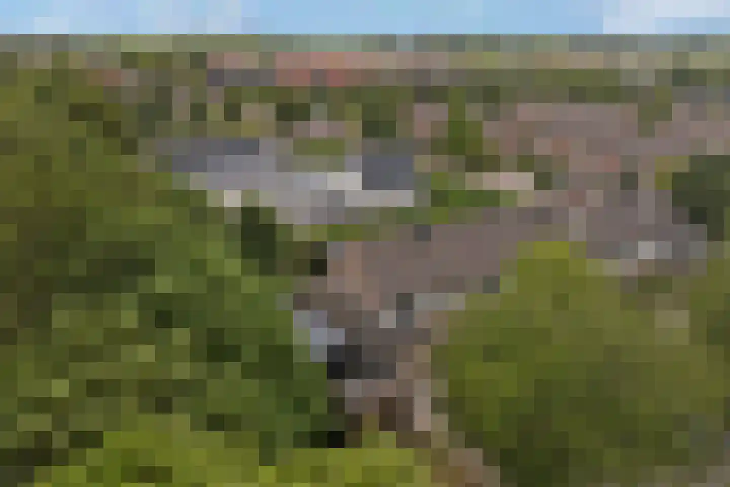 Hoefblad 12 Oudkarspel thumbnail 48