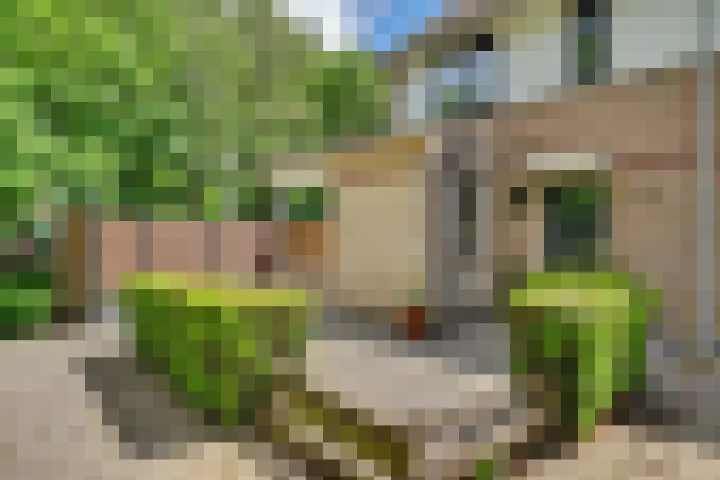 Hoefblad 12 Oudkarspel thumbnail 5