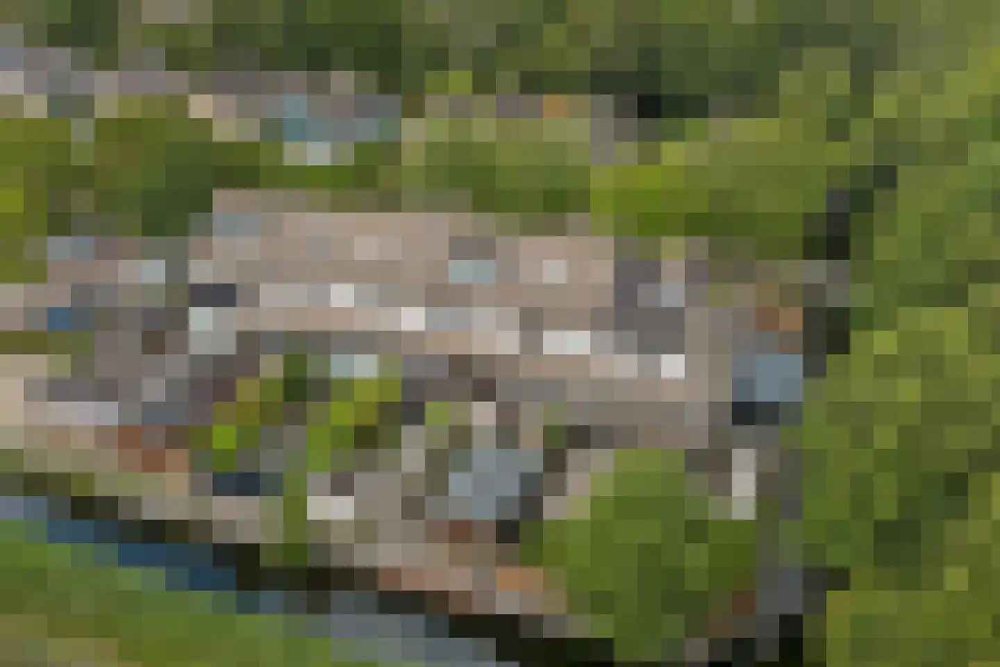 Hoefblad 12 Oudkarspel thumbnail 50