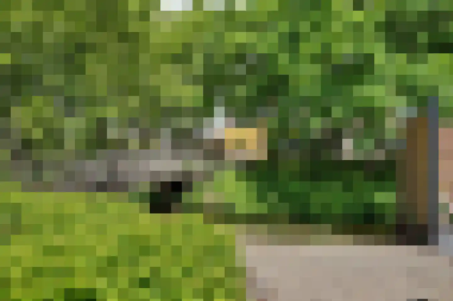 Hoefblad 12 Oudkarspel thumbnail 51