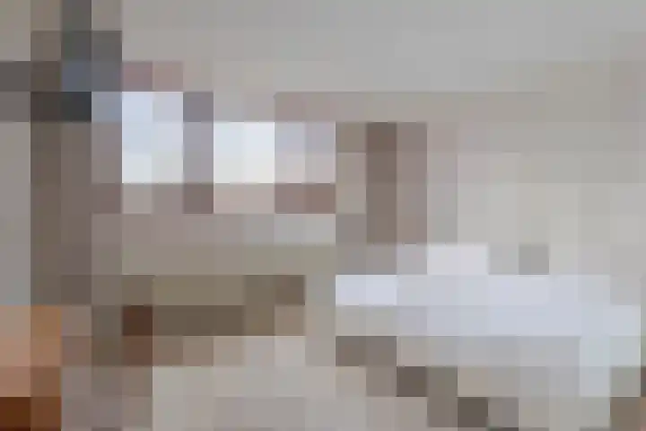 Hoefblad 13 Boskoop thumbnail 13