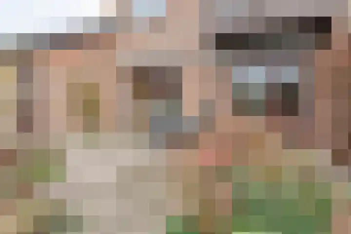 Hoefblad 13 Boskoop thumbnail 28