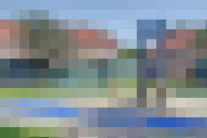 Hoefblad 139 Zwaag thumbnail 38