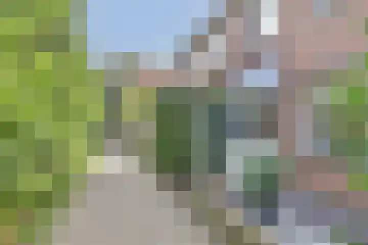 Hoefblad 139 Zwaag thumbnail 4