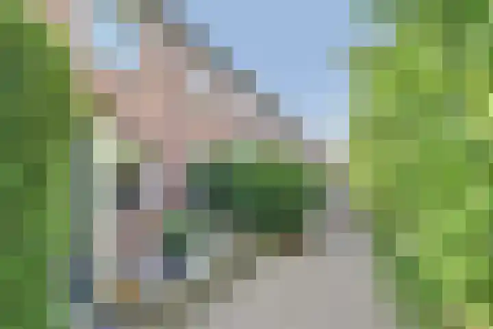 Hoefblad 139 Zwaag thumbnail 5