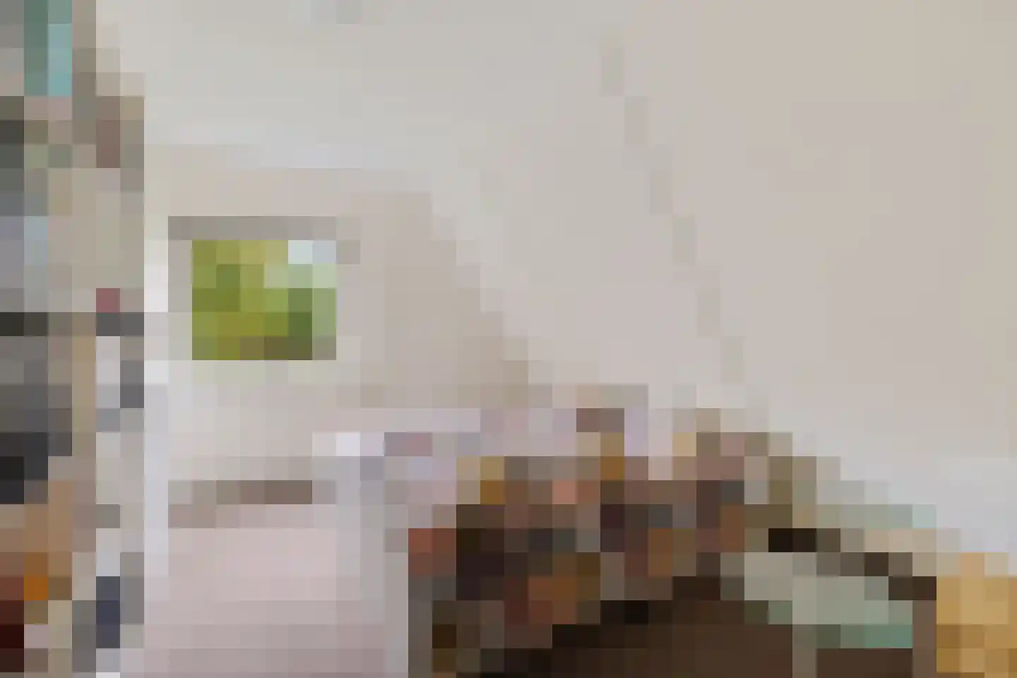 Hoefblad 15 Heerenveen thumbnail 33