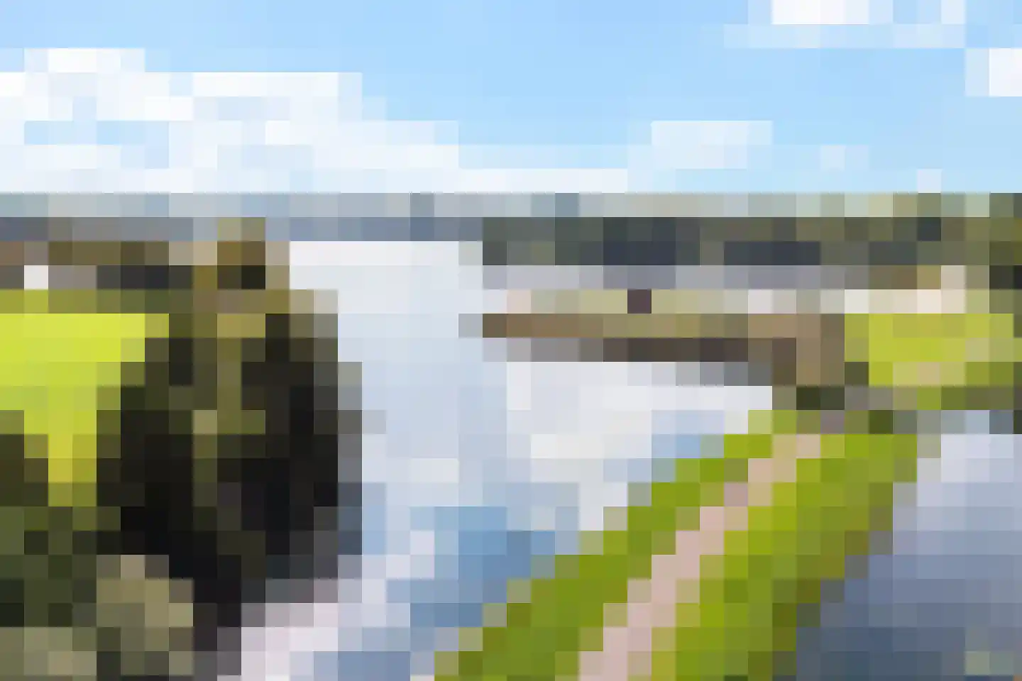 Hoefblad 15 Heerenveen thumbnail 4