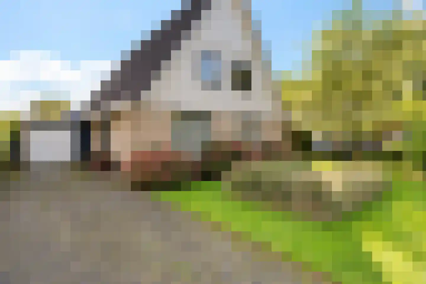 Hoefblad 15 Heerenveen thumbnail 43