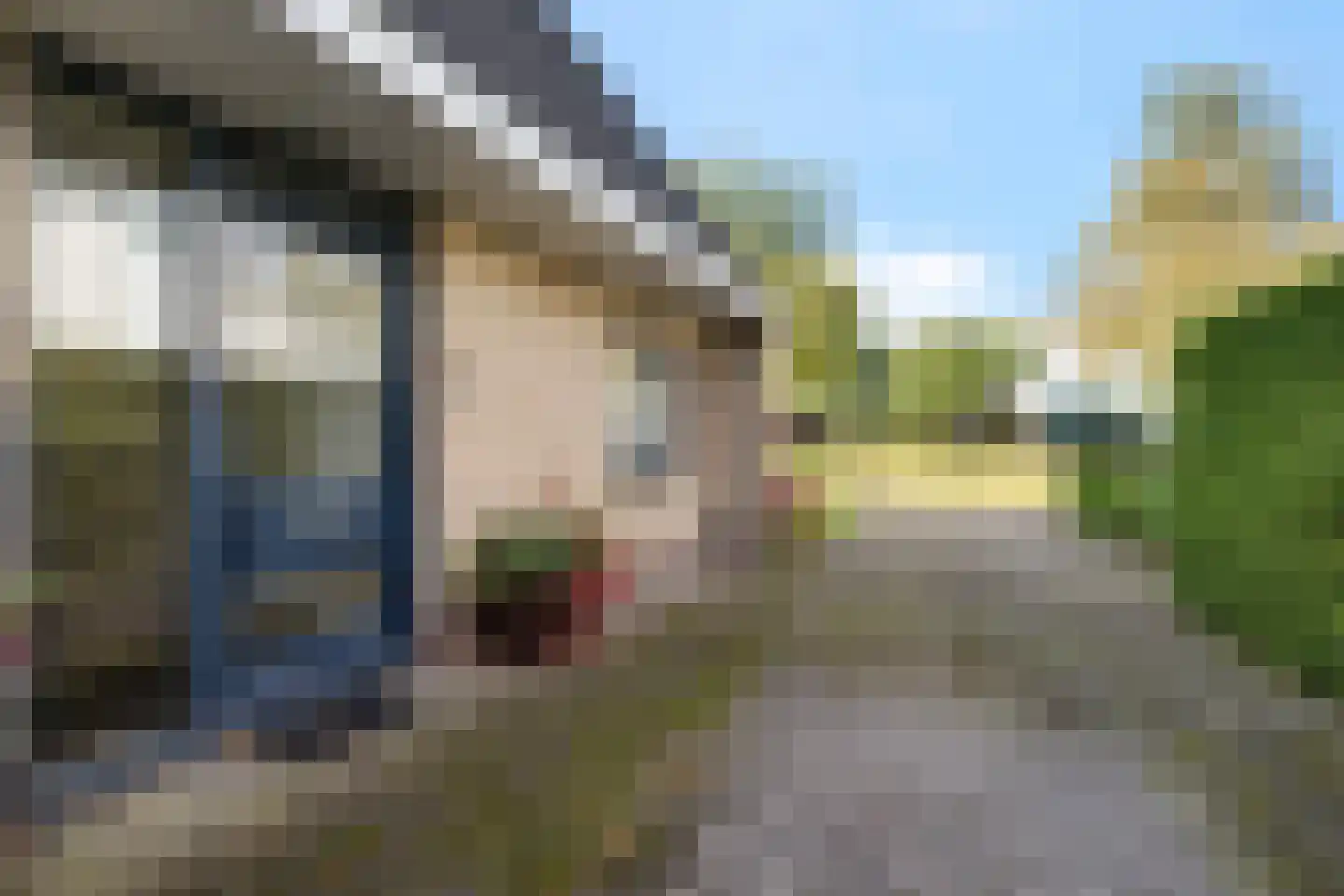 Hoefblad 15 Heerenveen thumbnail 46