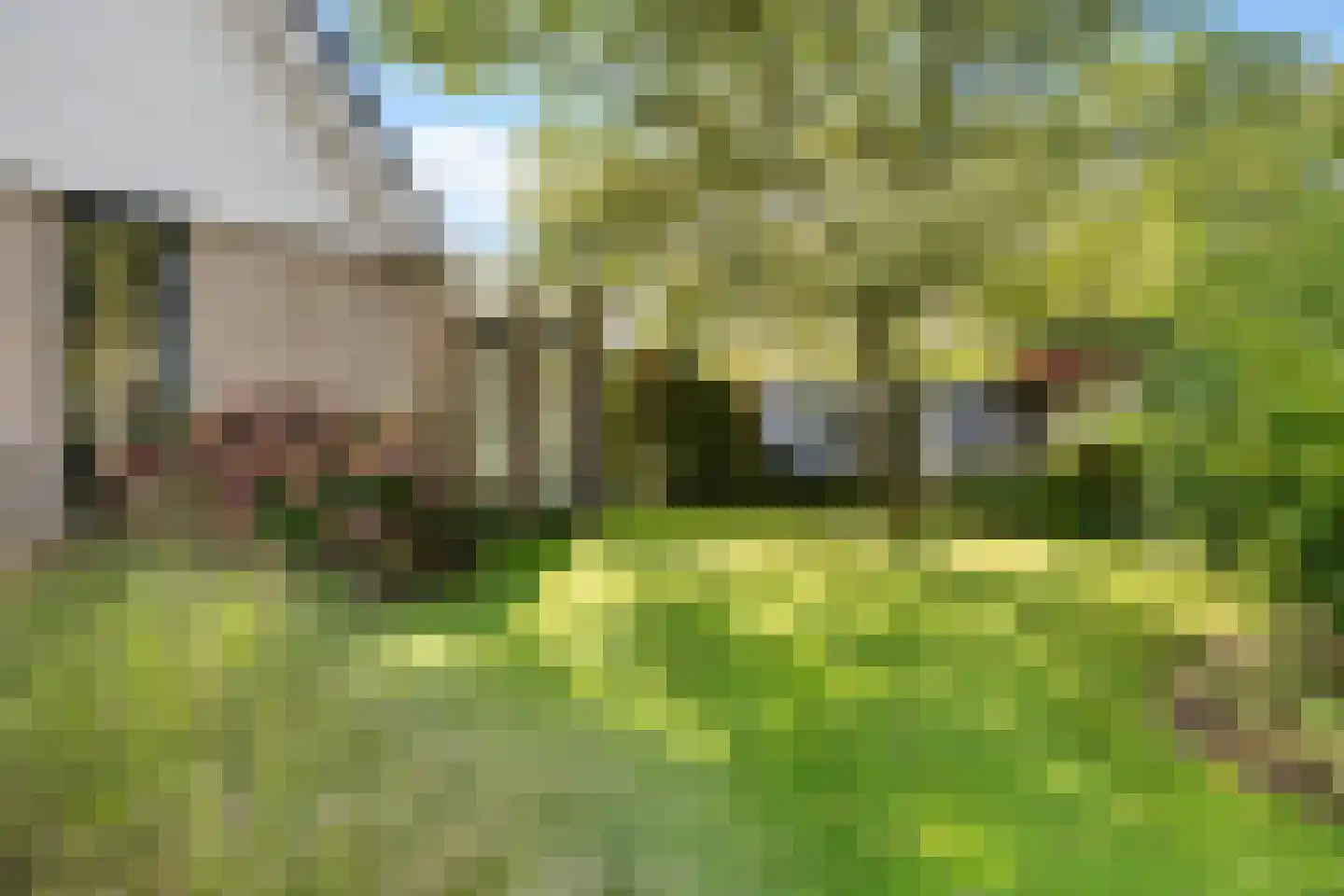 Hoefblad 15 Heerenveen thumbnail 47