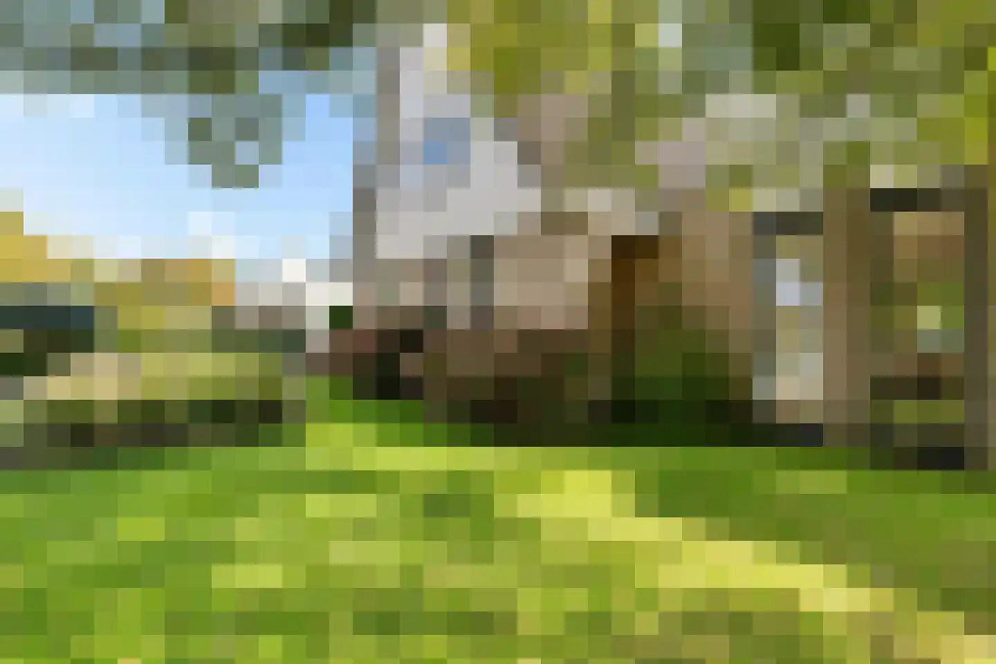 Hoefblad 15 Heerenveen thumbnail 48