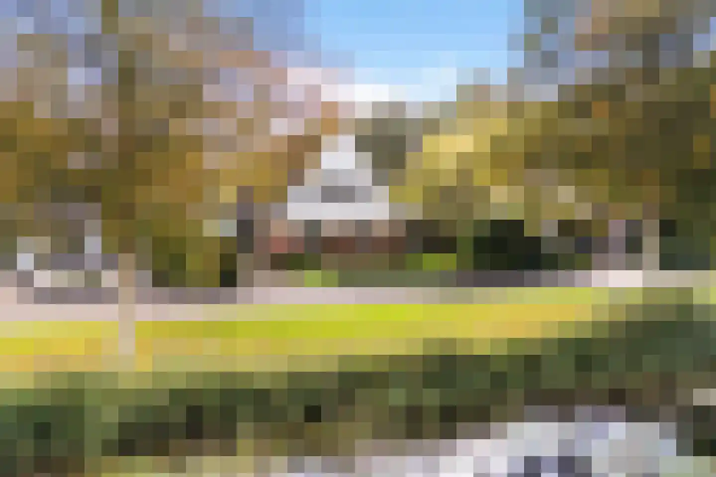 Hoefblad 15 Heerenveen thumbnail 5