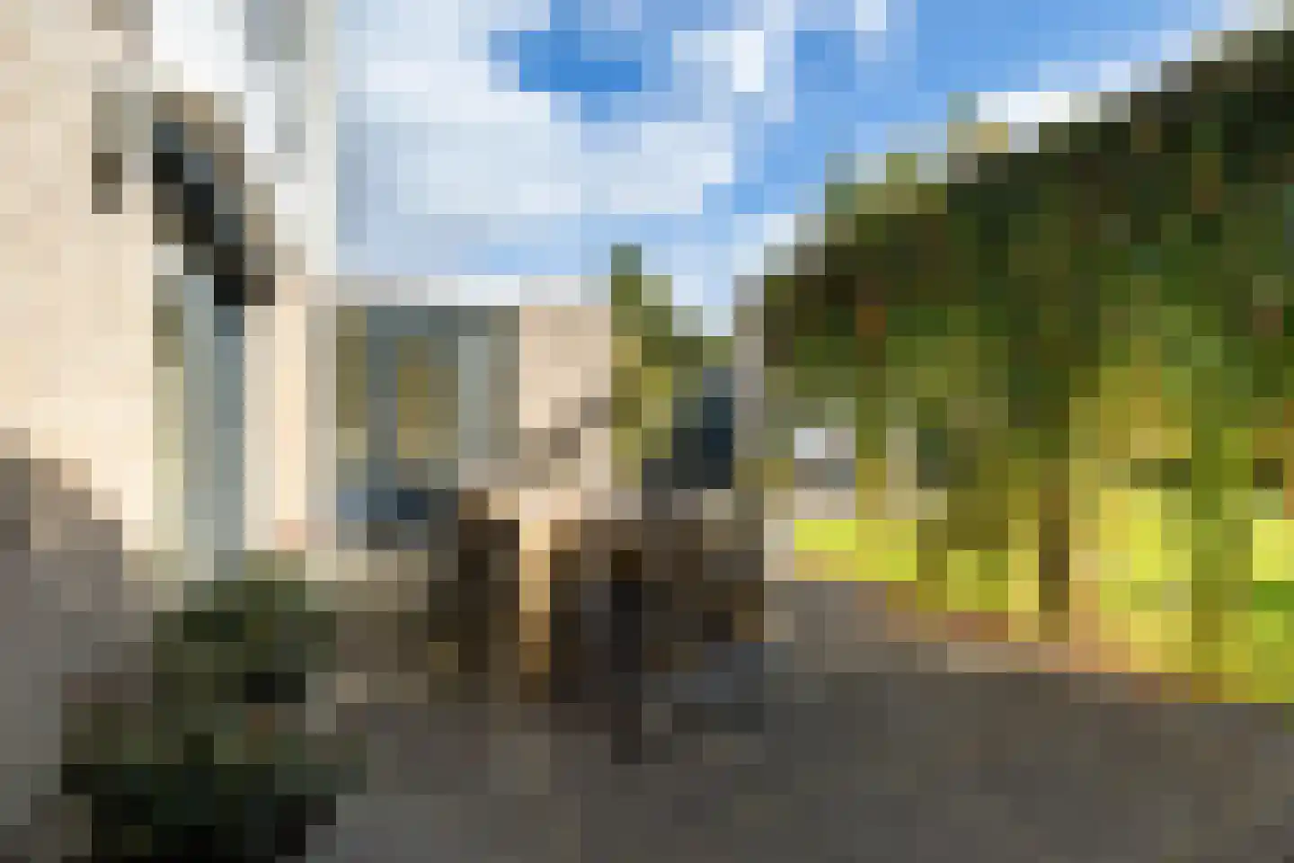 Hoefblad 15 Heerenveen thumbnail 51