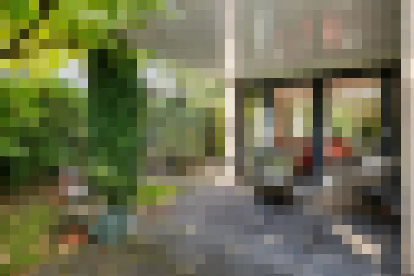 Hoefblad 15 Heerenveen thumbnail 53