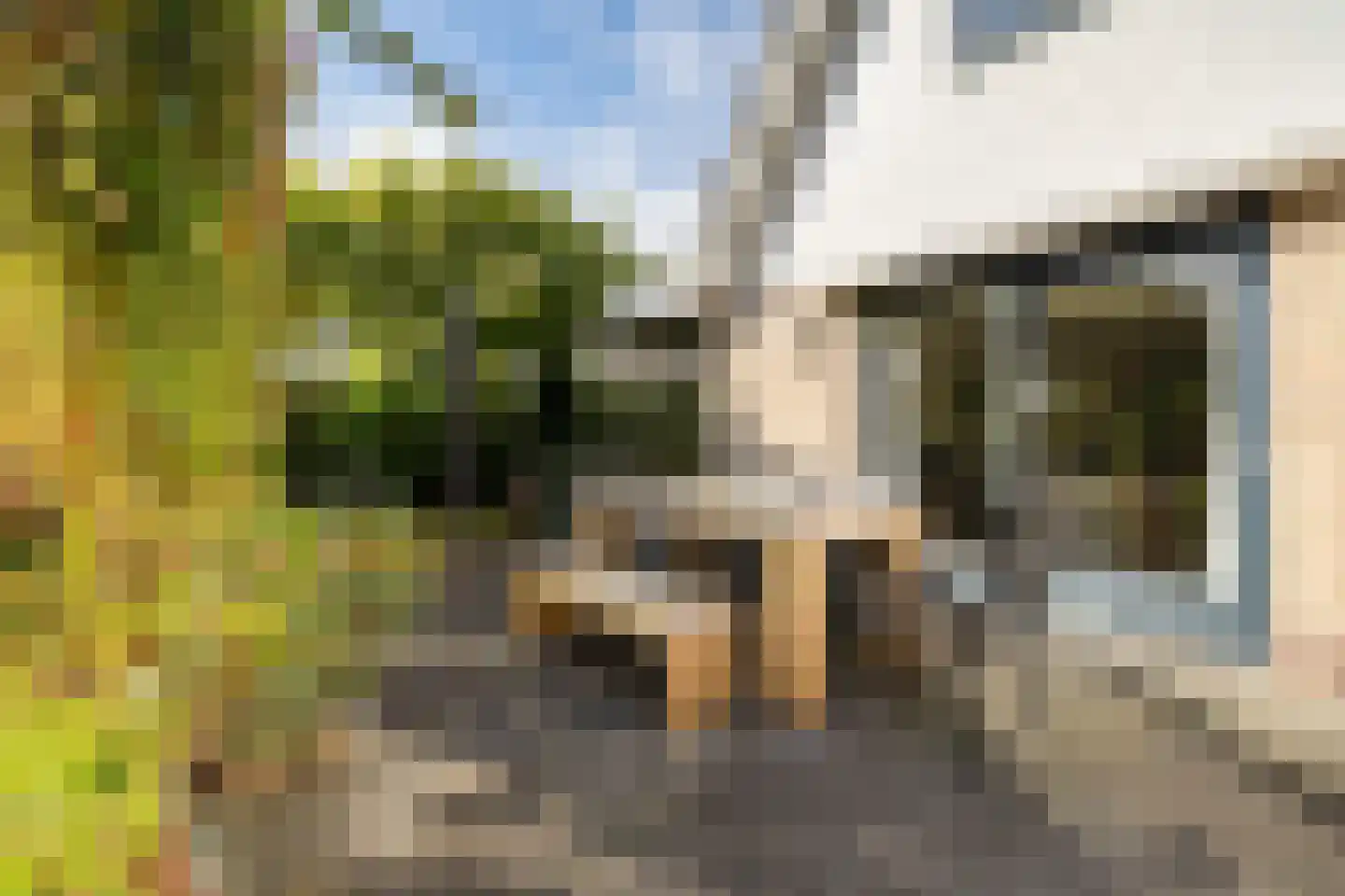 Hoefblad 15 Heerenveen thumbnail 54