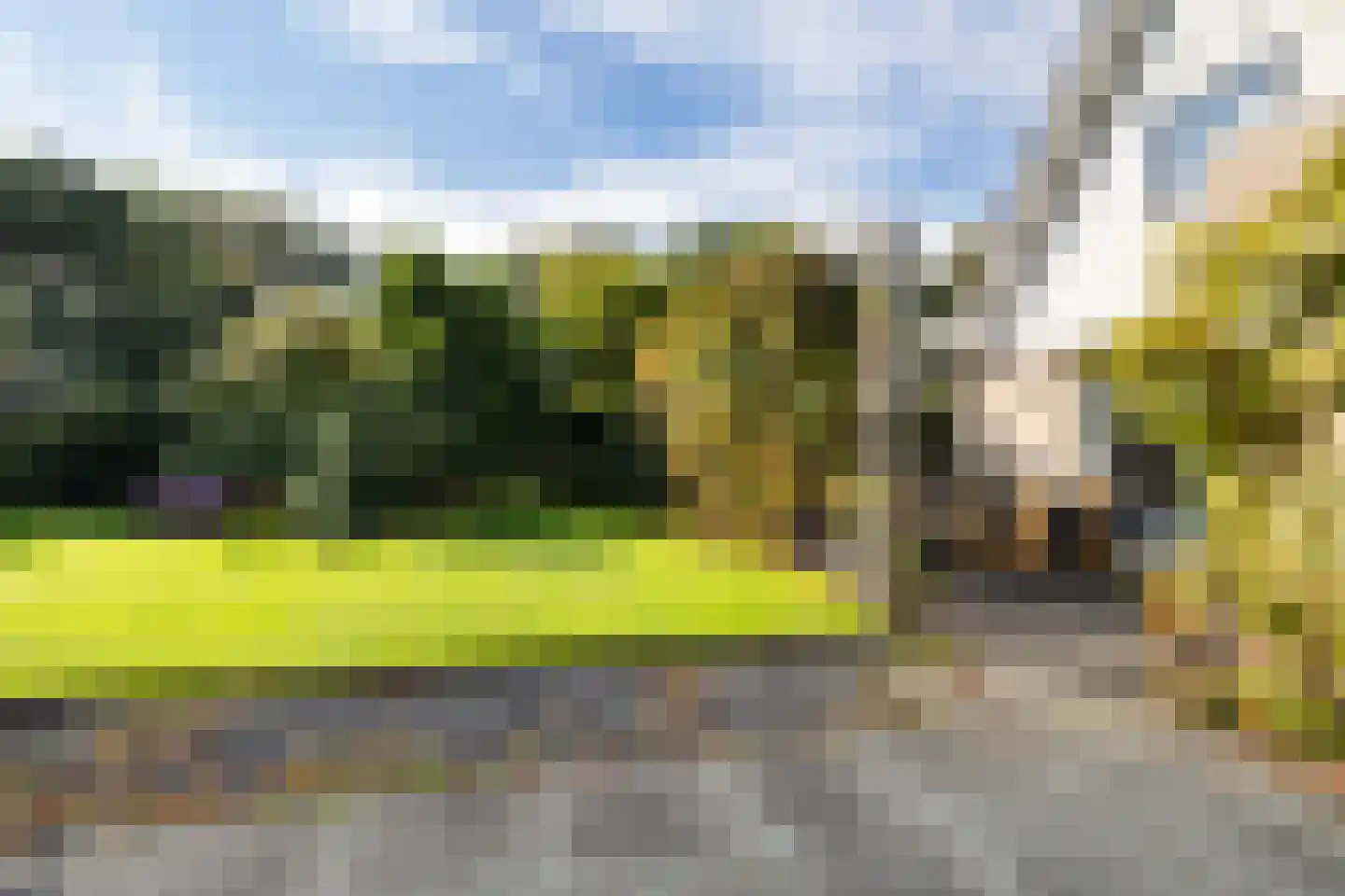 Hoefblad 15 Heerenveen thumbnail 55