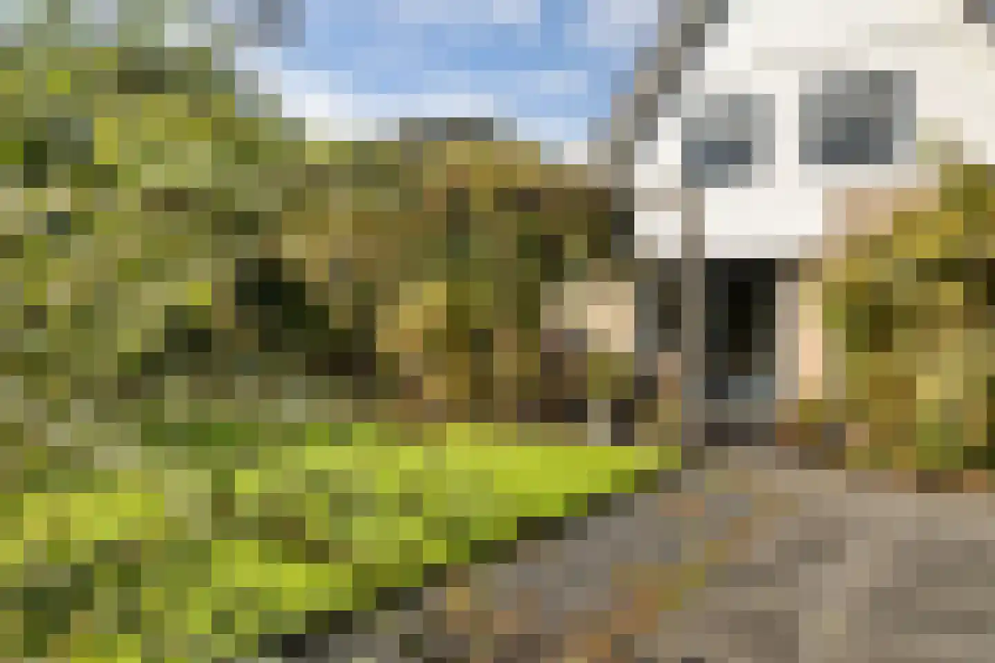 Hoefblad 15 Heerenveen thumbnail 56