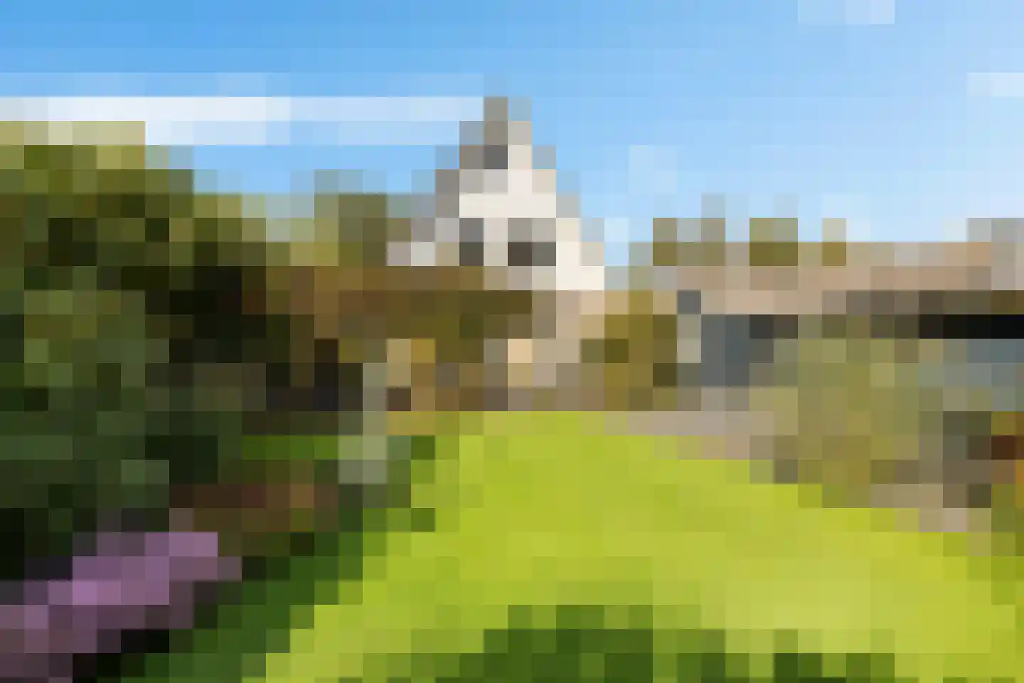 Hoefblad 15 Heerenveen thumbnail 57