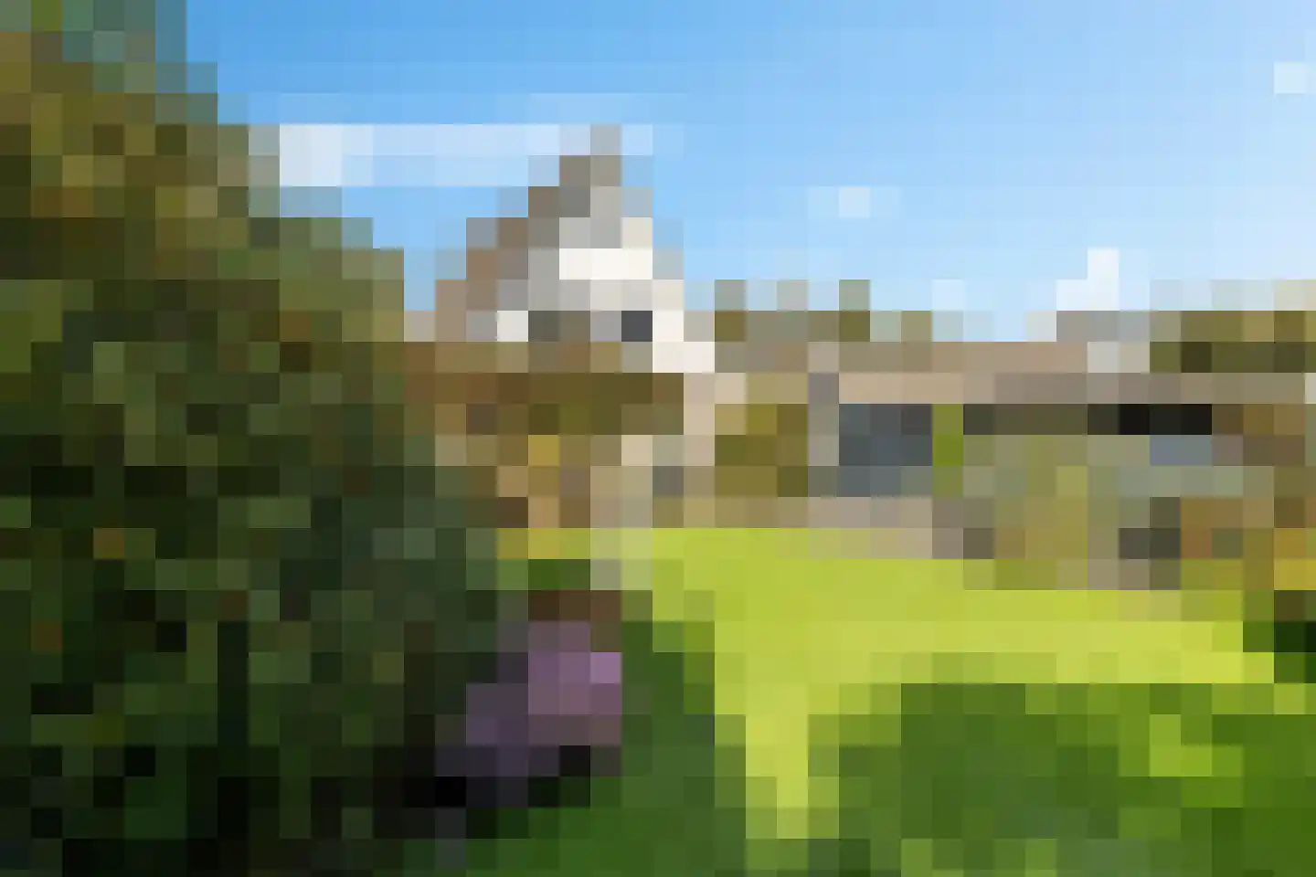 Hoefblad 15 Heerenveen thumbnail 58