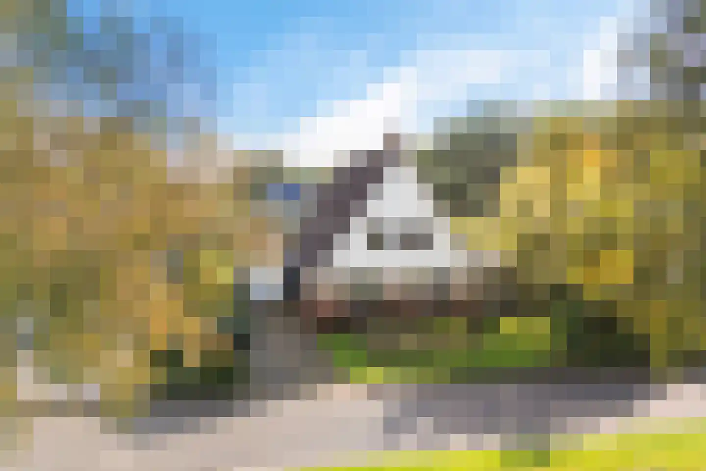 Hoefblad 15 Heerenveen thumbnail 59