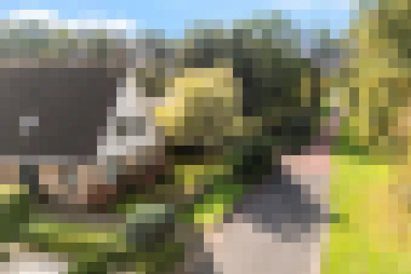 Hoefblad 15 Heerenveen thumbnail 6