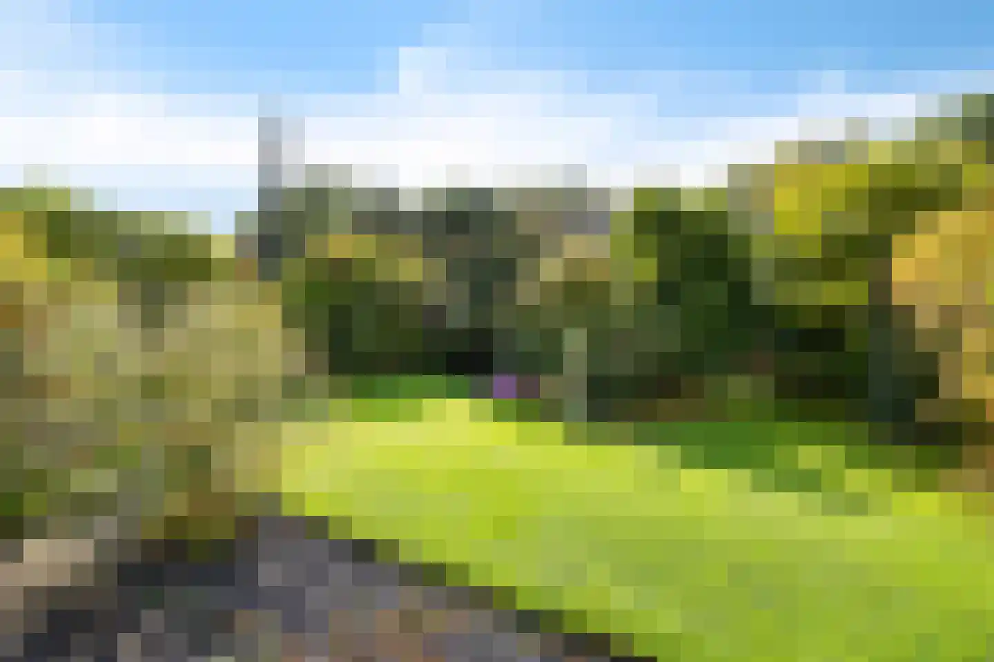 Hoefblad 15 Heerenveen thumbnail 60