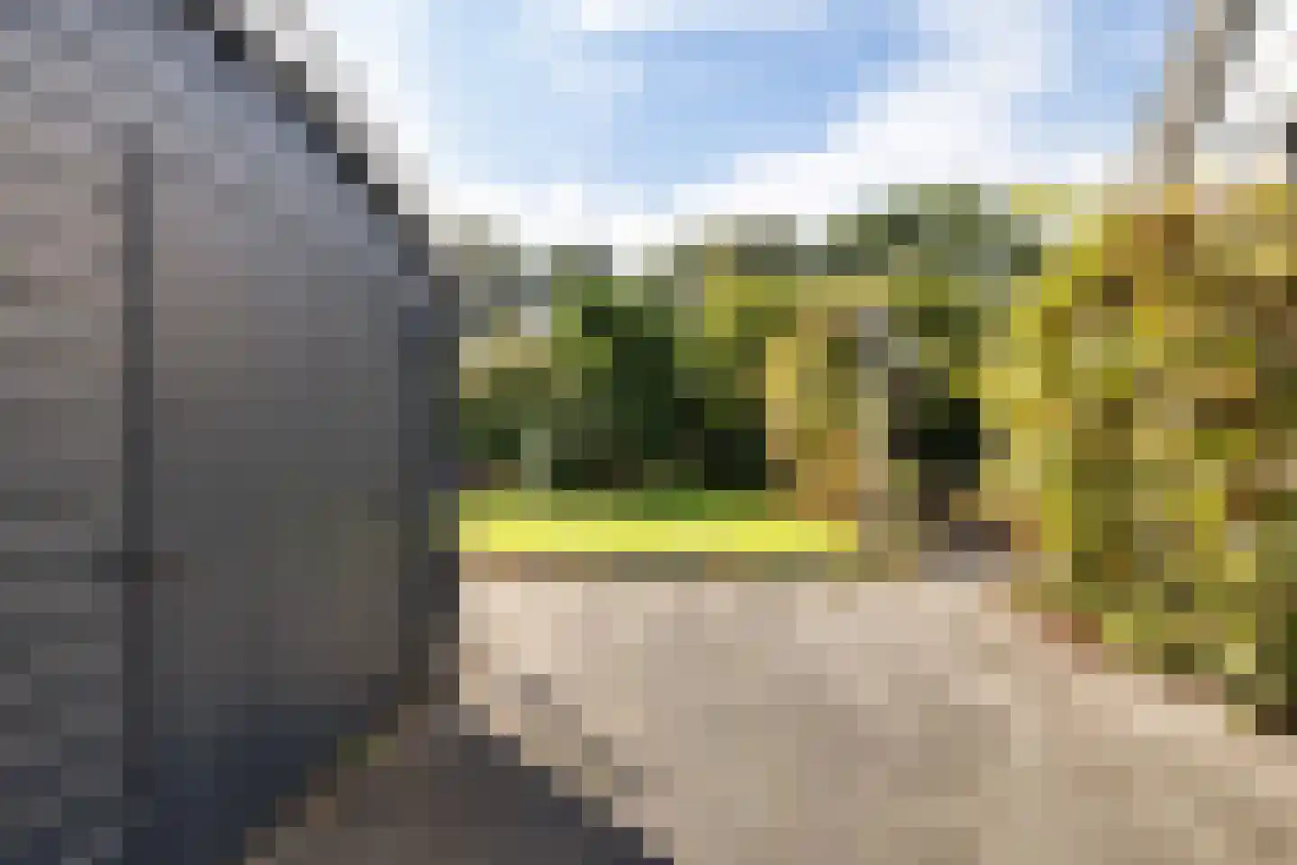Hoefblad 15 Heerenveen thumbnail 61