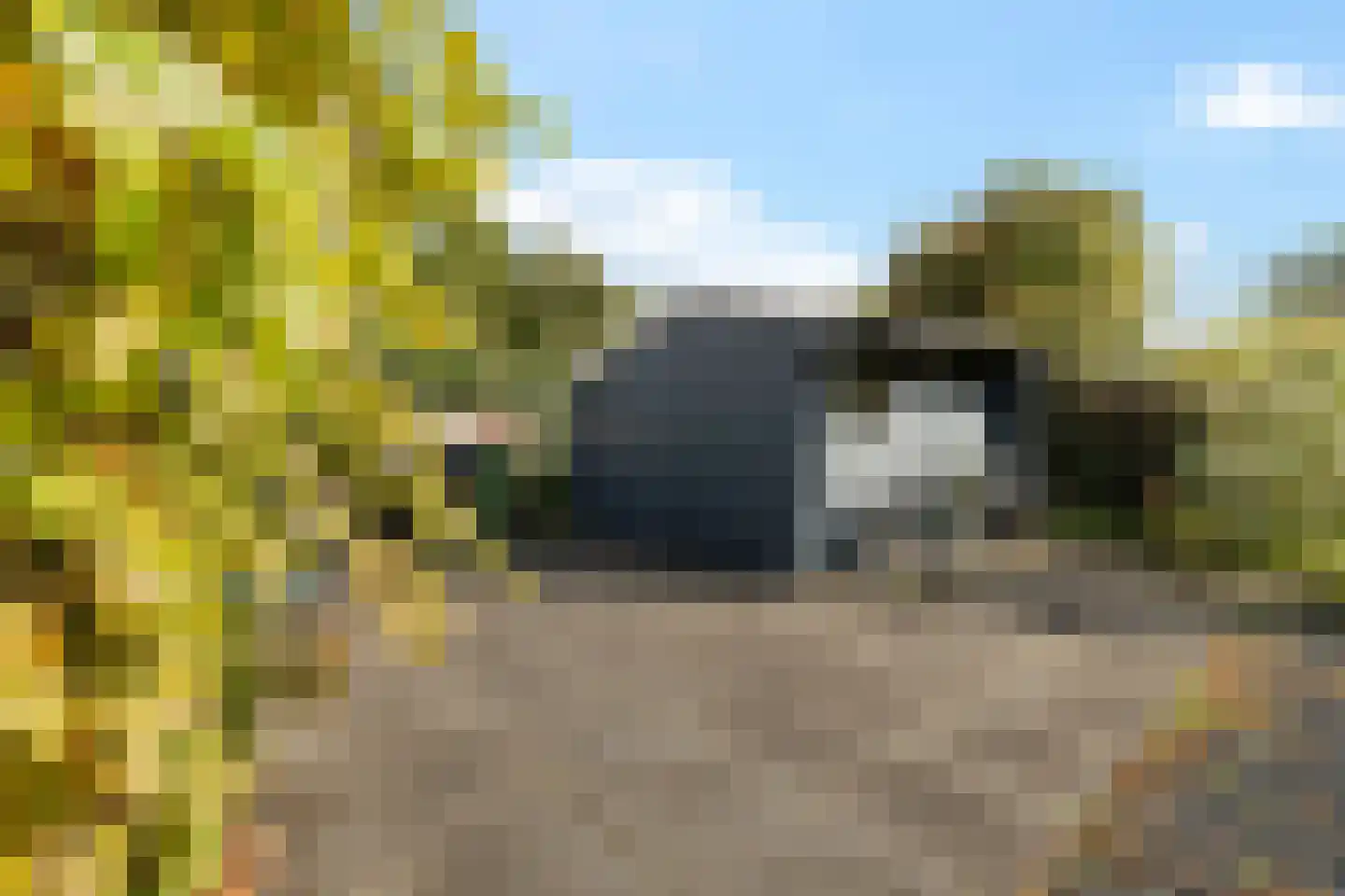 Hoefblad 15 Heerenveen thumbnail 62