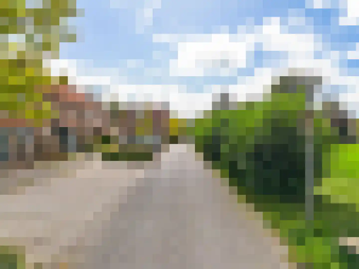 Hoefblad 154 Zwaag thumbnail 10