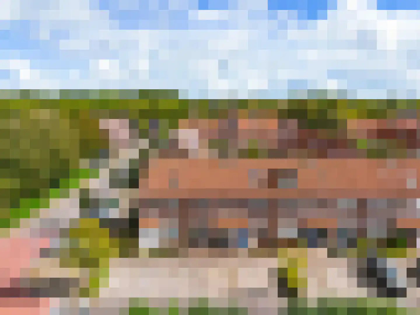Hoefblad 154 Zwaag foto 3