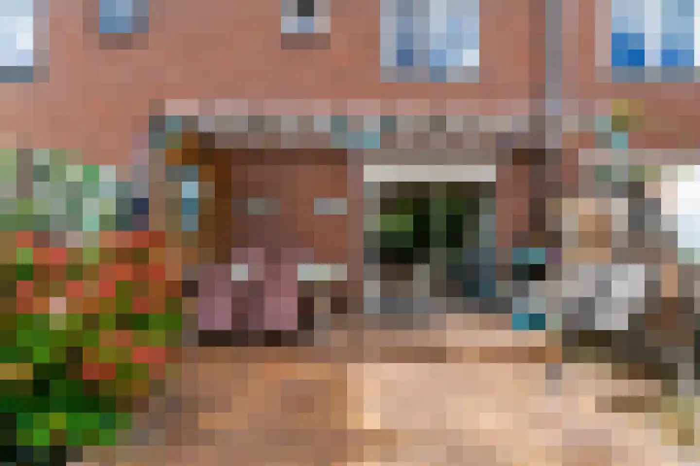 Hoefblad 154 Zwaag thumbnail 34