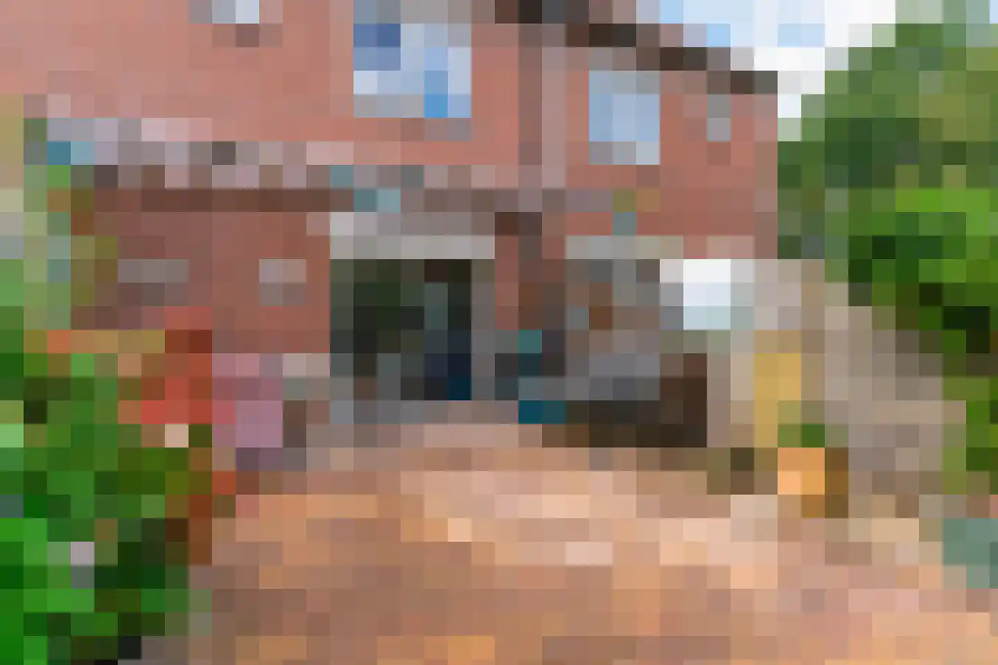 Hoefblad 154 Zwaag thumbnail 35