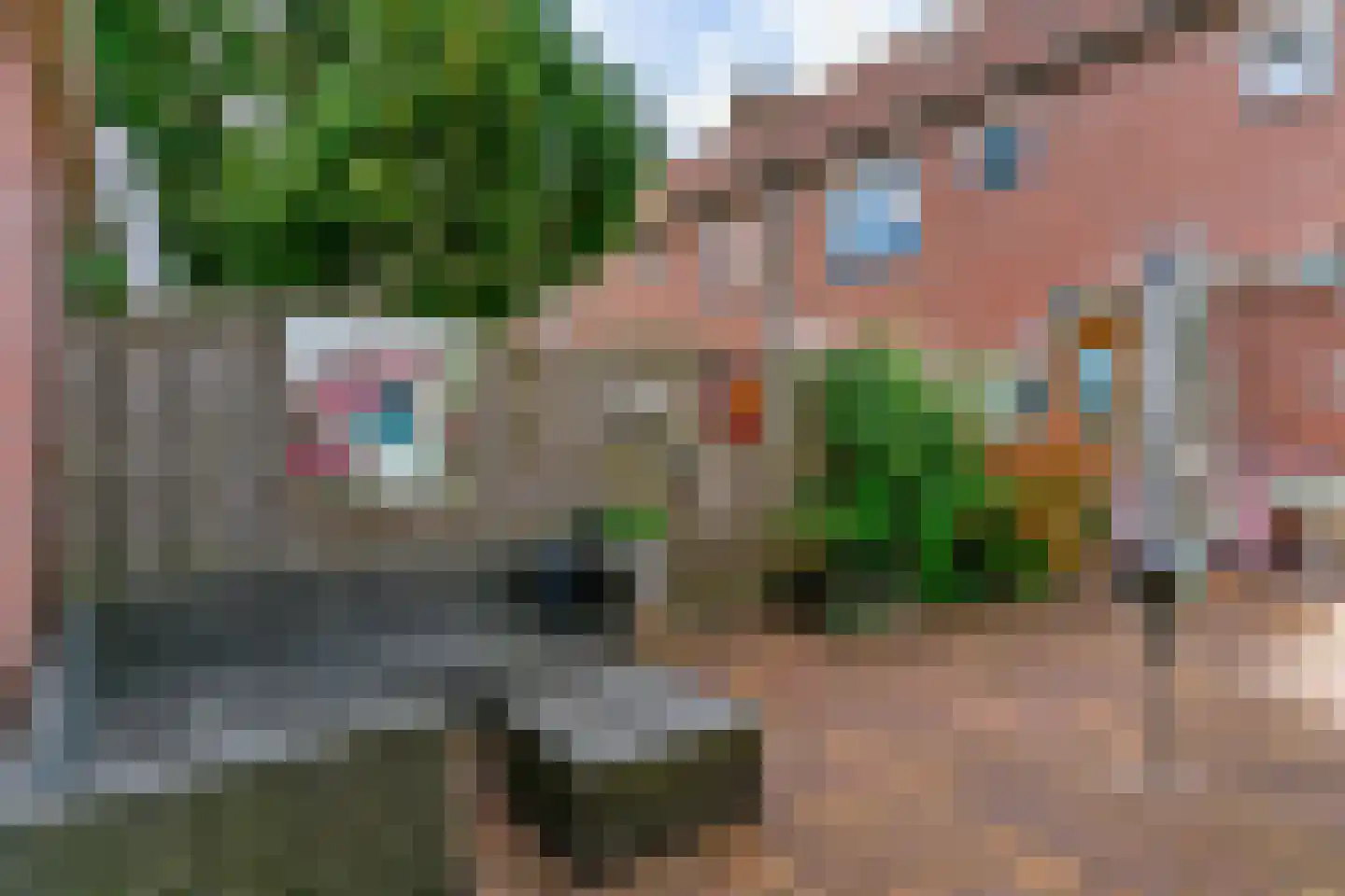 Hoefblad 154 Zwaag thumbnail 38