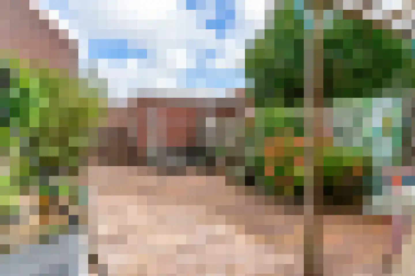Hoefblad 154 Zwaag thumbnail 4