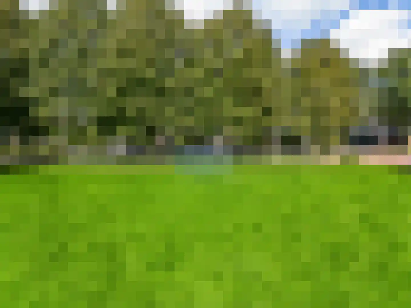 Hoefblad 154 Zwaag thumbnail 40