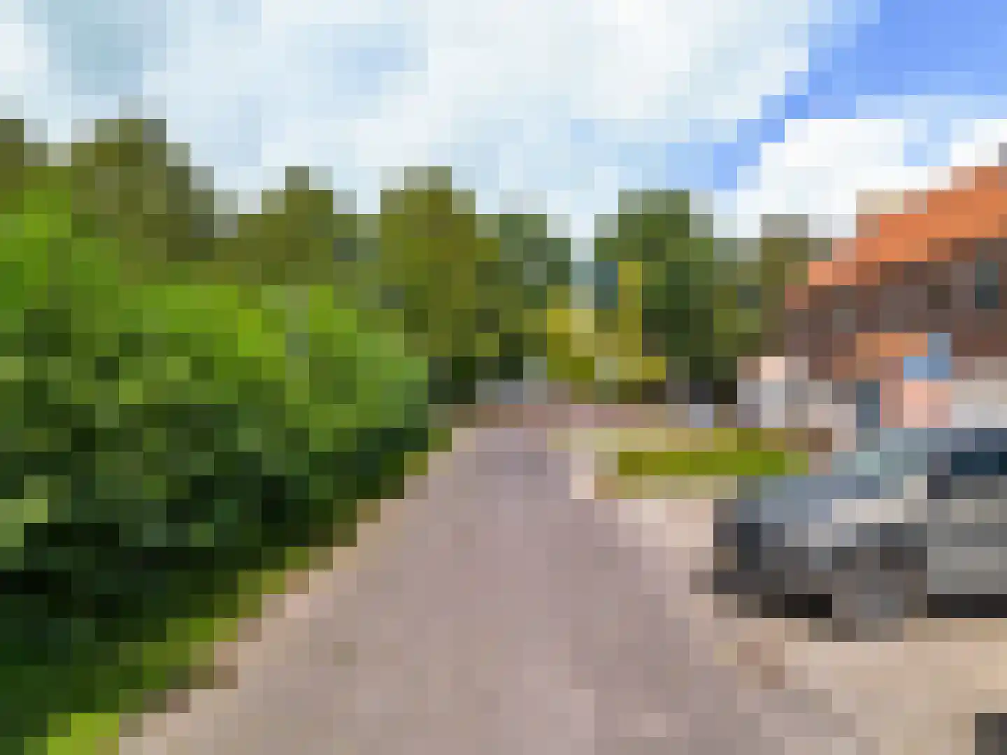 Hoefblad 154 Zwaag thumbnail 9