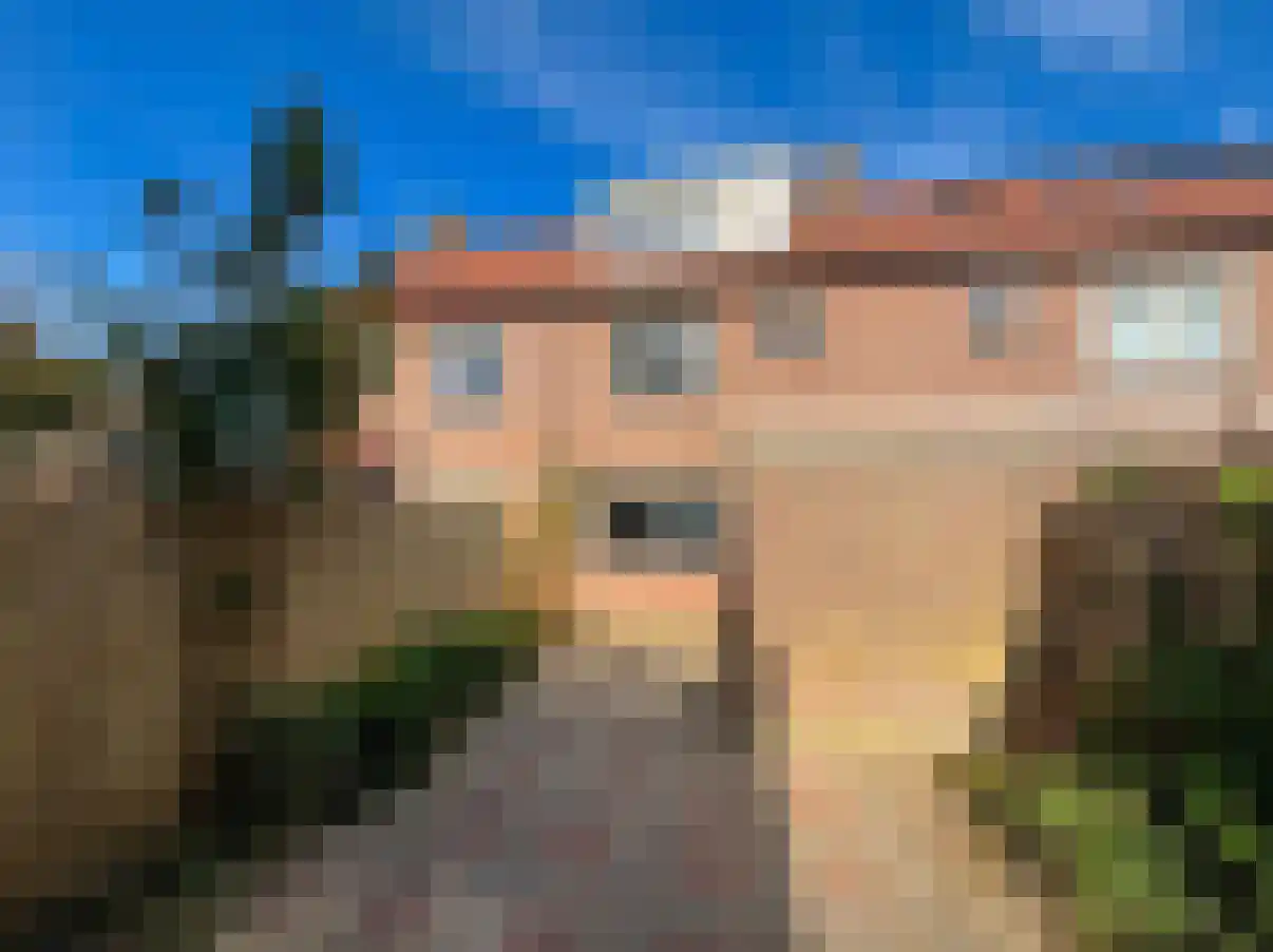 Hoefblad 164 Zwaag thumbnail 29