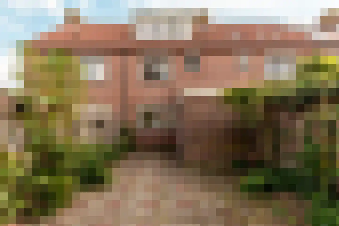 Hoefblad 164 Zwaag thumbnail 30
