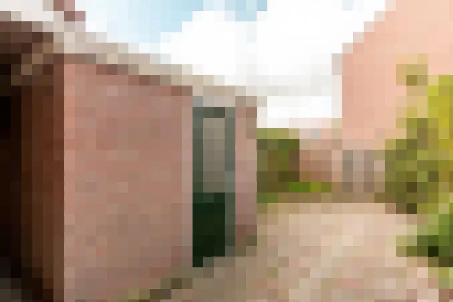 Hoefblad 164 Zwaag thumbnail 30