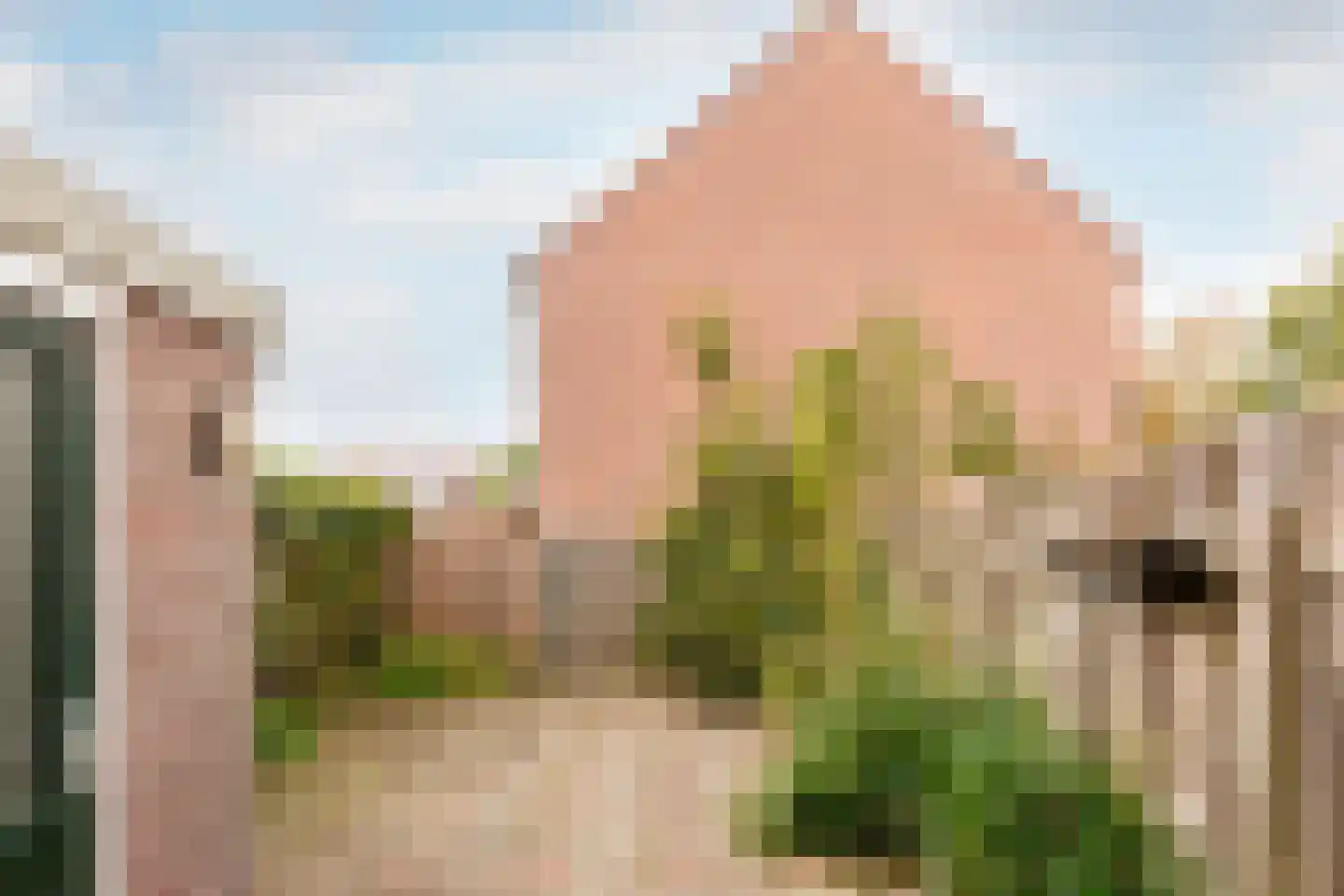 Hoefblad 164 Zwaag thumbnail 31
