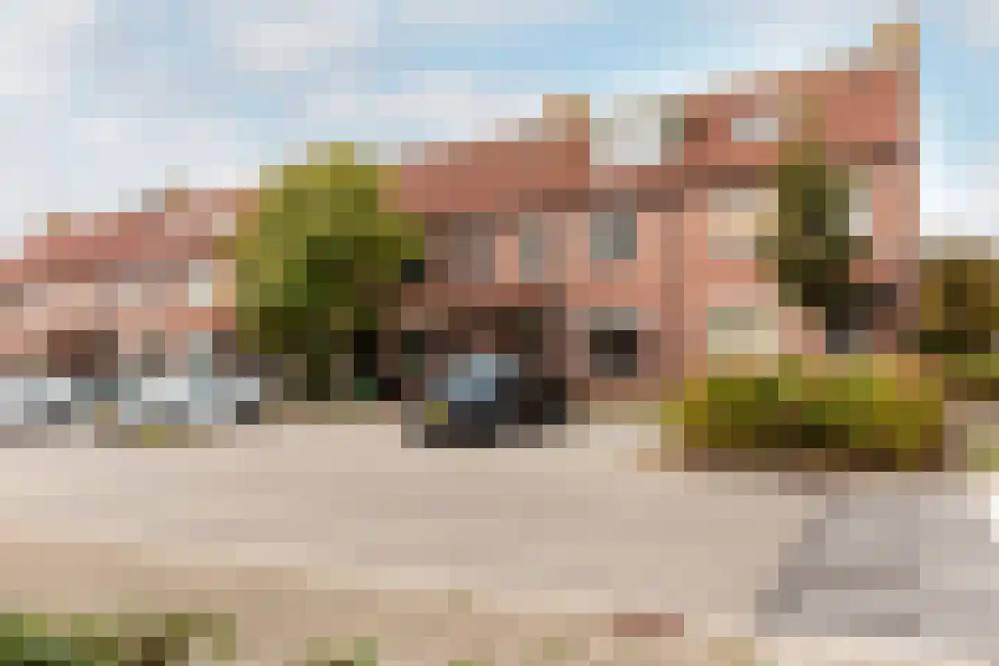 Hoefblad 164 Zwaag thumbnail 35