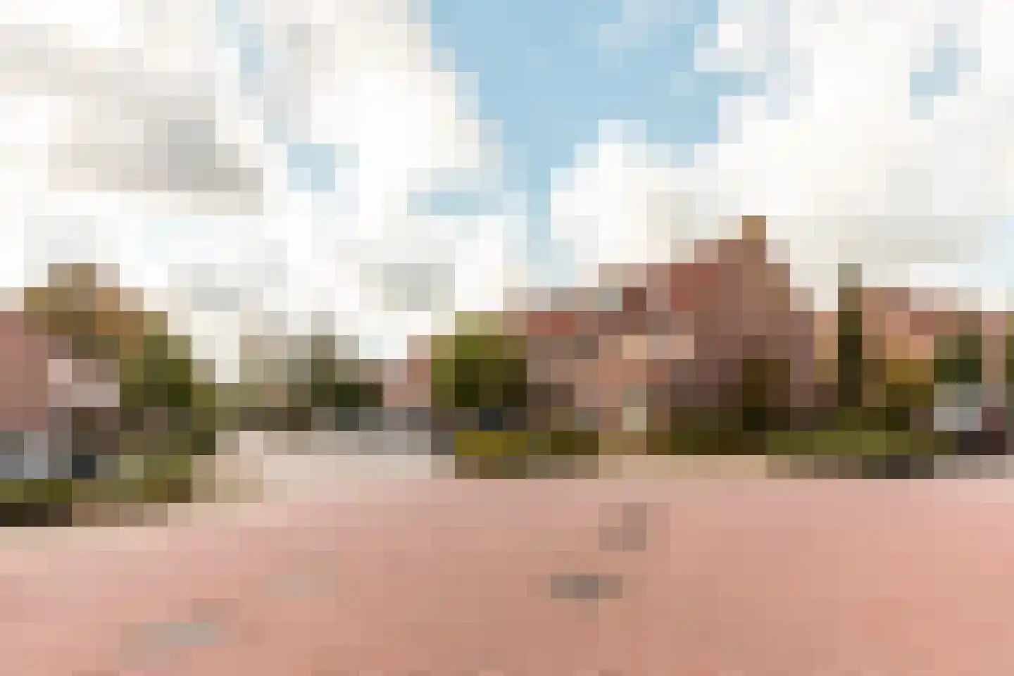 Hoefblad 164 Zwaag thumbnail 37