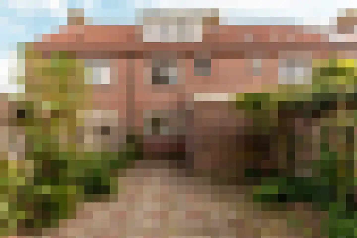 Hoefblad 164 Zwaag thumbnail 38