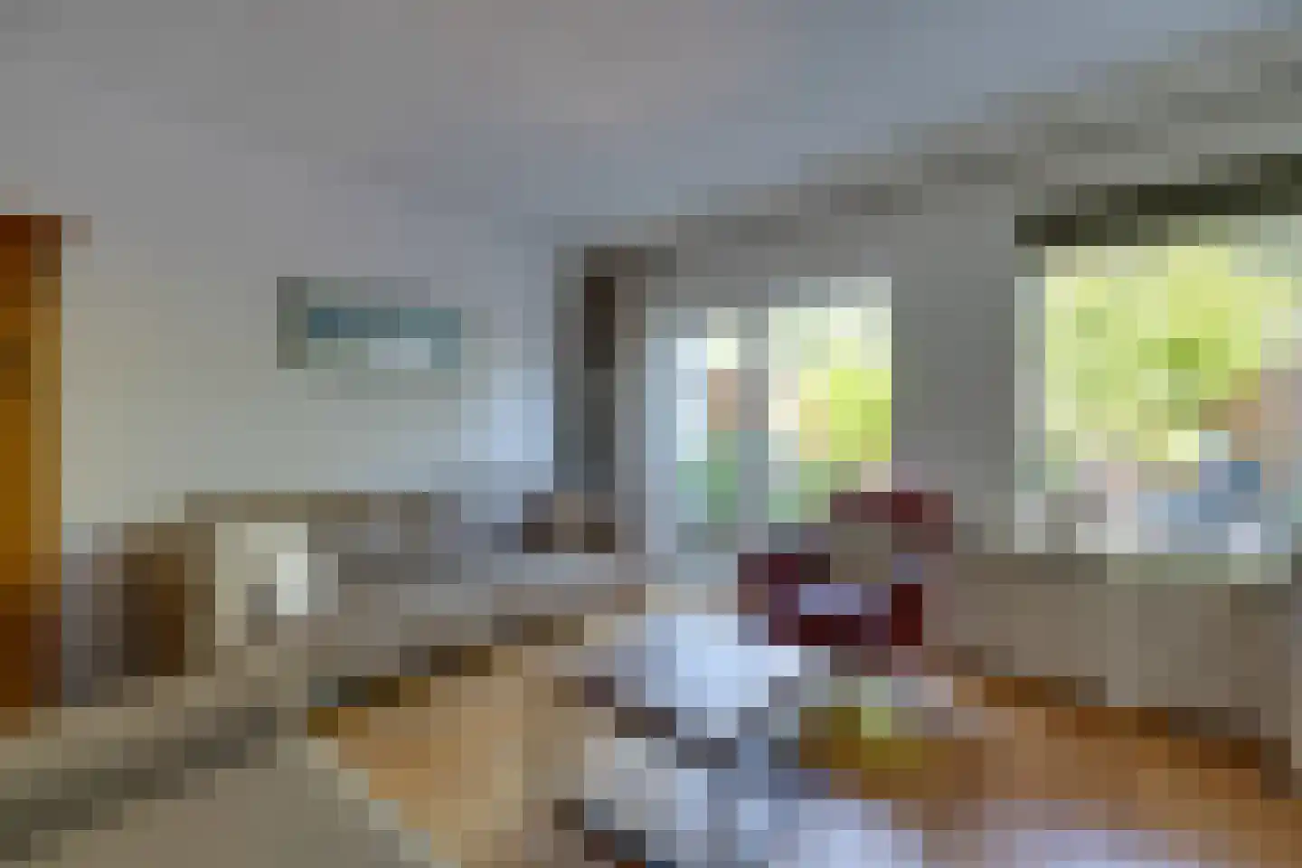 Hoefblad 23 Purmerend thumbnail 12