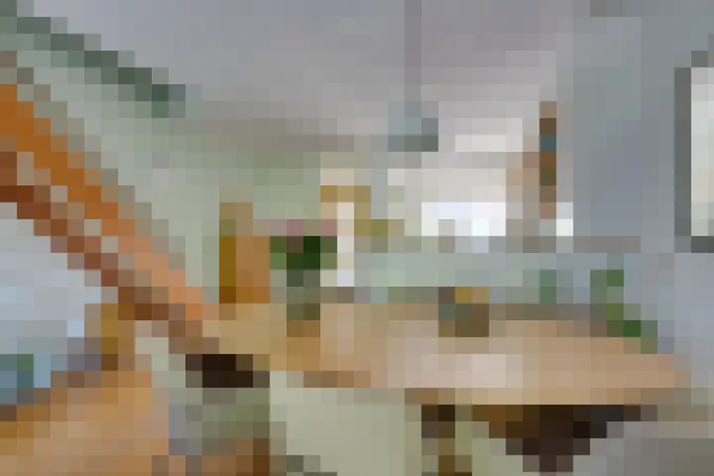 Hoefblad 23 Purmerend thumbnail 18