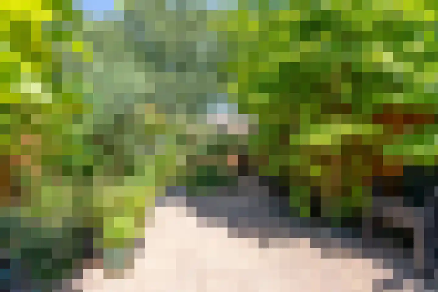 Hoefblad 23 Purmerend thumbnail 26