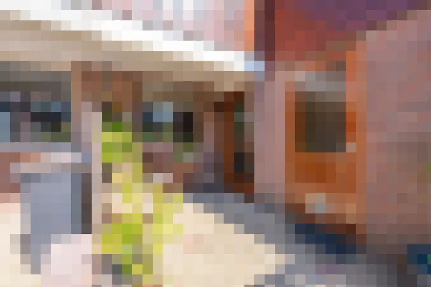 Hoefblad 23 Purmerend thumbnail 7